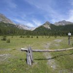 Im Schweizerischen Nationalpark